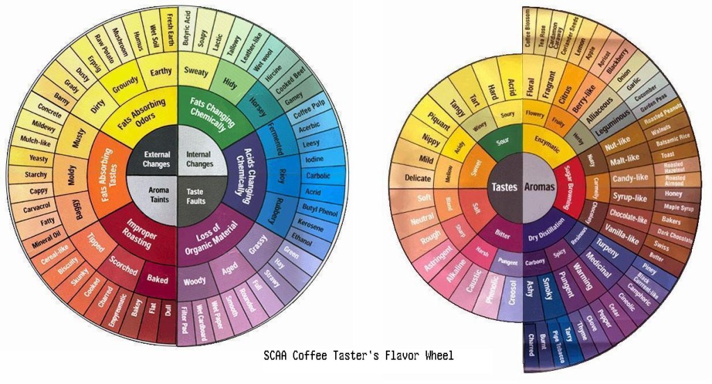 DISCOVER COFFEE THROUGH PERSONALITY