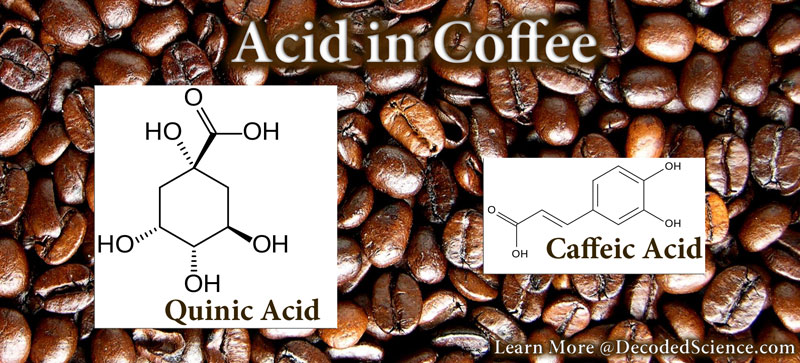 17 COFFEE TERMS THAT COFFEE LOVERS MAY NOT KNOW