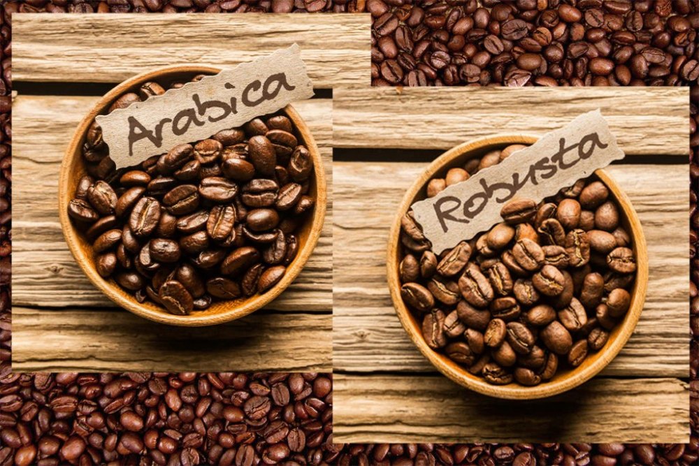 Cà phê Robusta và Arabica loại nào ngon hơn?