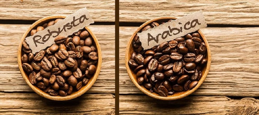 Cà phê Arabica có vị gì?