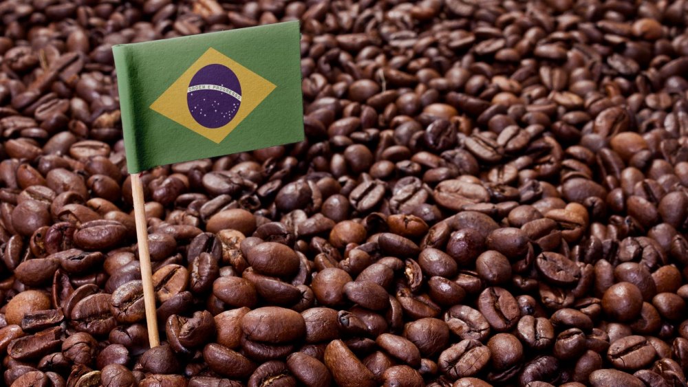 Brazil là quốc gia dẫn đầu về sản xuất cà phê trên thế giới trong nhiều năm liền