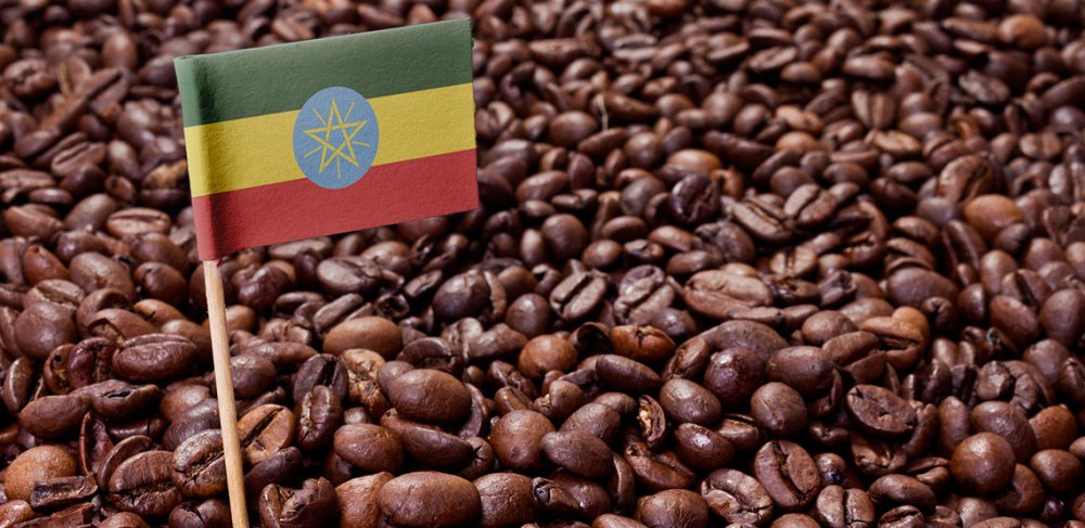 Ethiopia được mệnh danh là cái nôi của cà phê Arabica