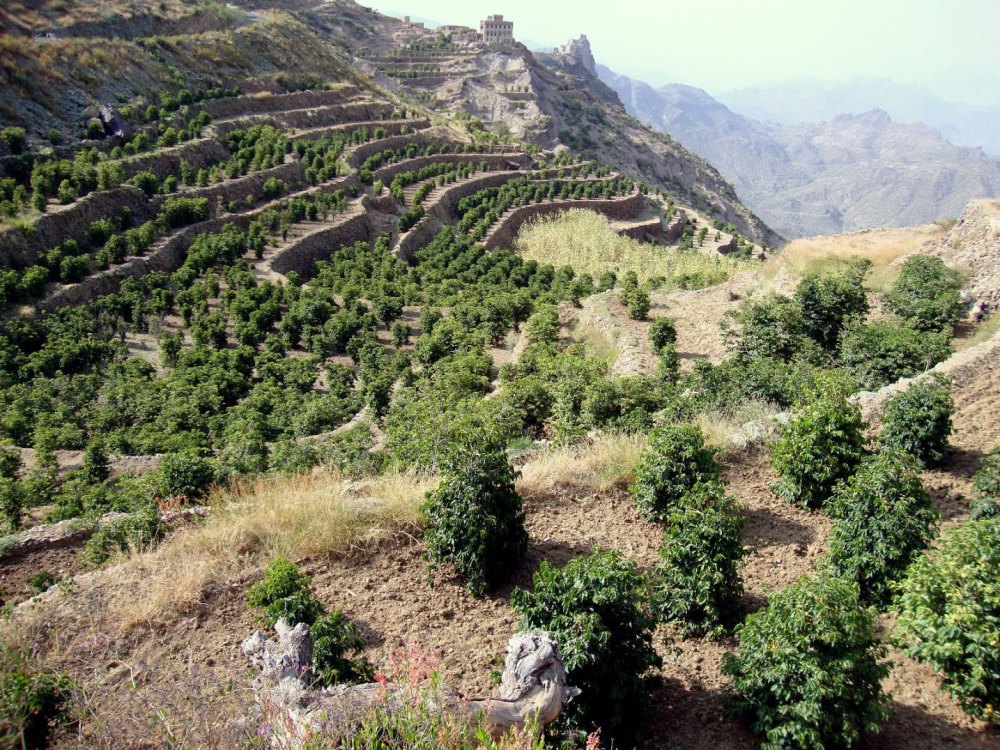 Đặc điểm địa hình, khí hậu của Yemen