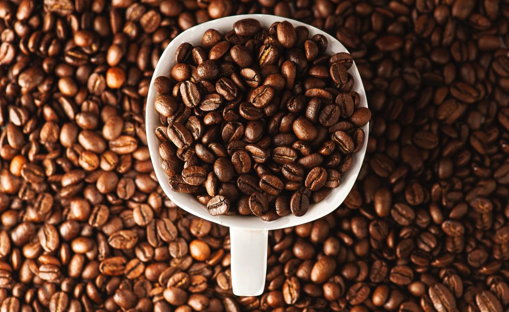 Nguồn gốc của cà phê Arabica