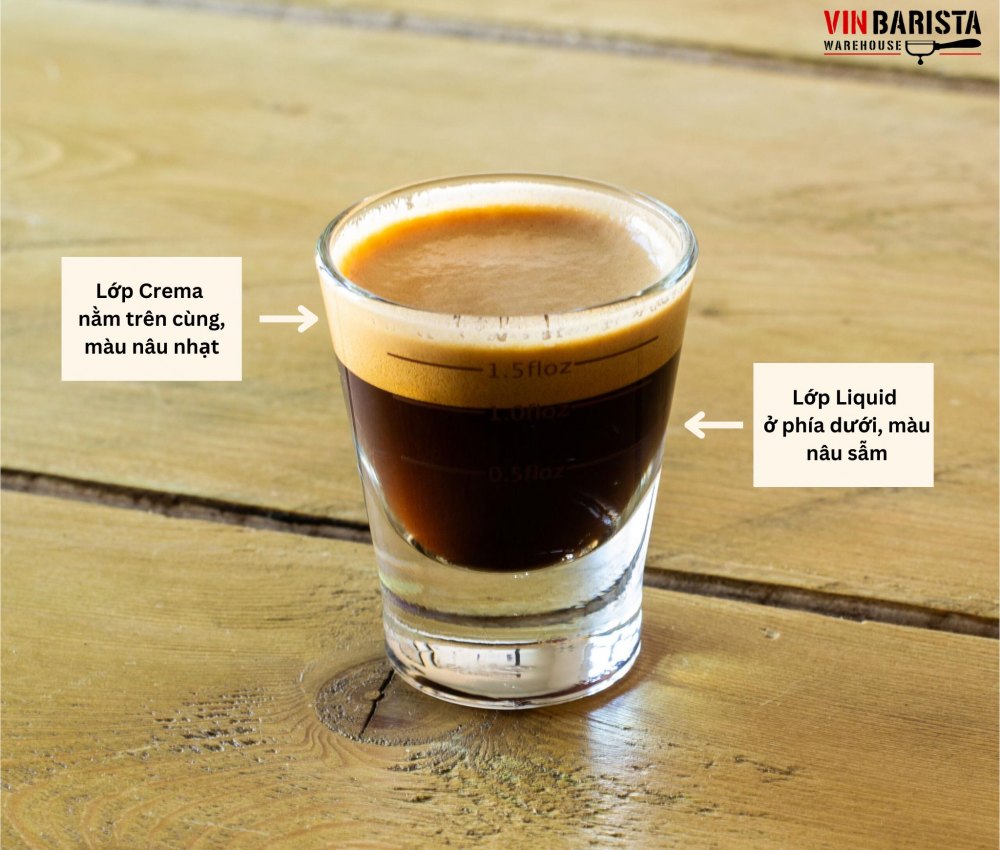 Espresso hoàn hảo gồm hai phần là Crema và Liquid