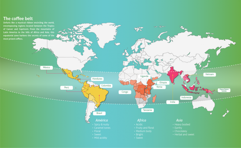 Vai trò của vành đai cà phê trong ngành cà phê