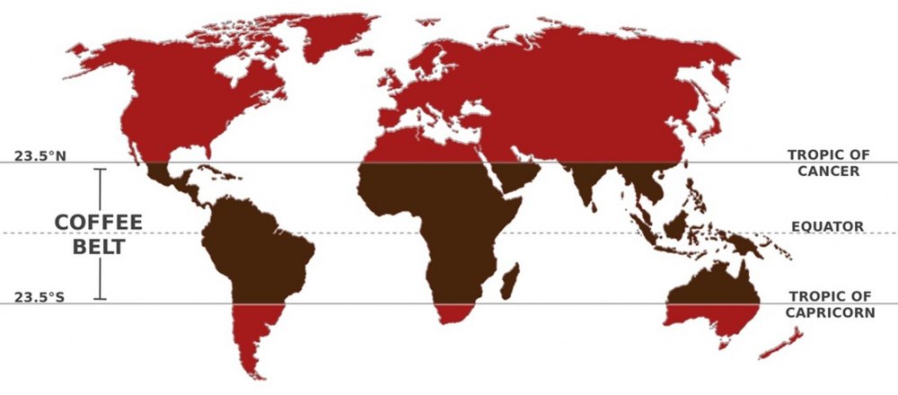 Vành đai cà phê (Coffee Belt) là gì?