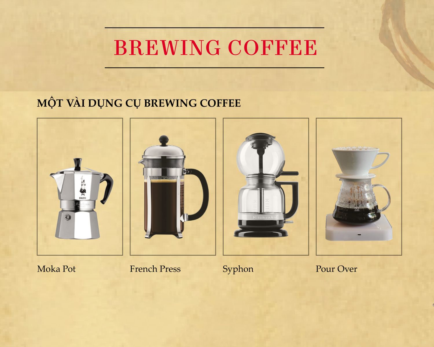 Coffee Infomation