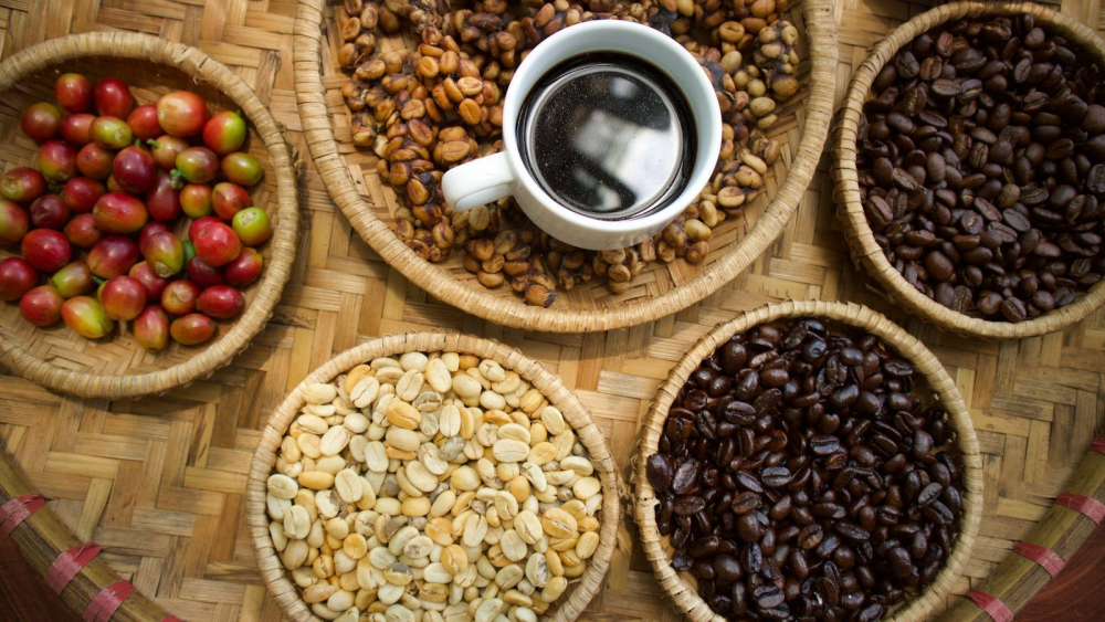Cà phê chất lượng cao là gì?