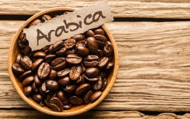Cà phê Arabica là gì? Đặc điểm, hương vị và các loại phổ biến