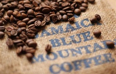 Cà phê Blue Mountain là gì? Tại sao Blue Mountain có giá đắt đỏ?