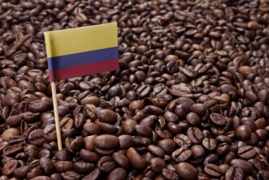 Cà phê Colombia: lịch sử, đặc điểm hương vị và vùng trồng nổi bật