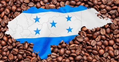 Cà phê Honduras: lịch sử, hương vị và vùng trồng cà phê nổi bật