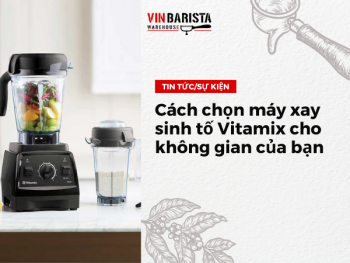 Some factors to consider when choosing a Vitamix blender