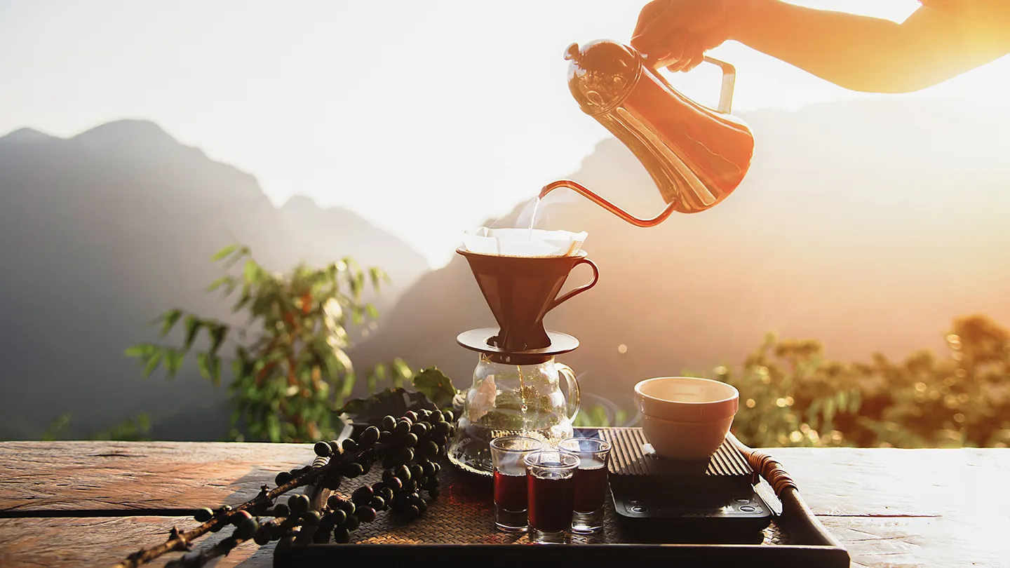 Cách ủ cà phê: Hướng dẫn chuẩn tại nhà cho hương vị đậm đà