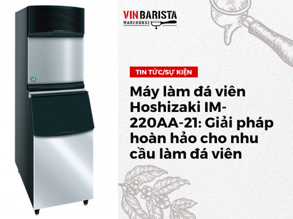 Detailed information about the Hoshizaki IM-220AA-21 ice maker product