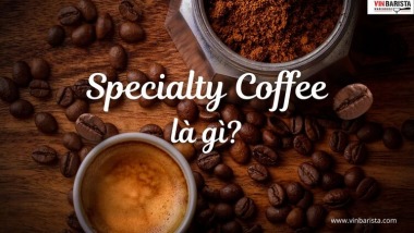 Specialty Coffee là gì? Tìm hiểu cà phê đặc sản chi tiết