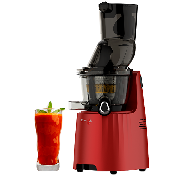 Whole Slow Juicer EVO810 -